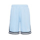 Karl Kani Ανδρικό σορτς Small Signature Essential Mesh Shorts